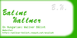 balint wallner business card